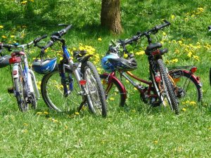 E-bike Natura e Vino – escursione giornaliera